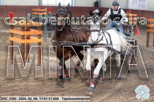 Mintakép 20260208-1997