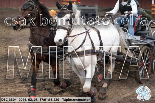Mintakép 20260208-1998