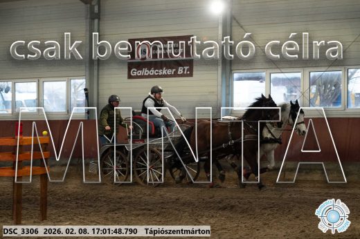 Mintakép 20260208-2000