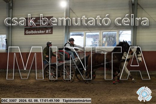 Mintakép 20260208-2001