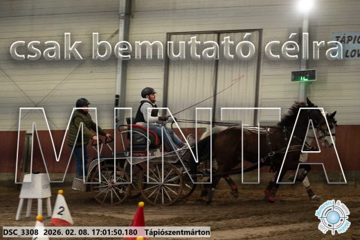 Mintakép 20260208-2002