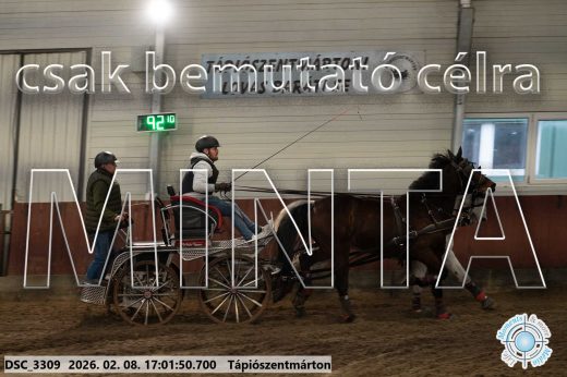Mintakép 20260208-2003