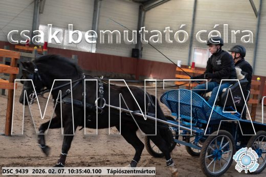 Mintakép 20260207-1156