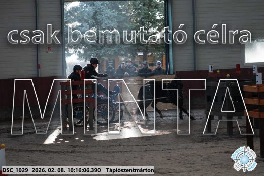 Mintakép 20260208-2008