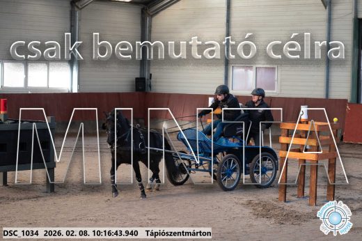 Mintakép 20260208-2011