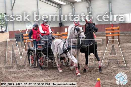 20260207-155659-DSC_0825.jpg