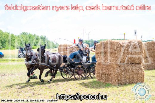 Mintakép 20260613-673