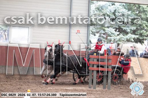 Mintakép 20260207-1167
