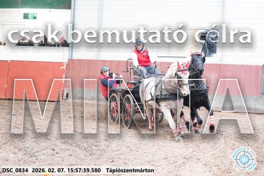 Mintakép 20260207-1172