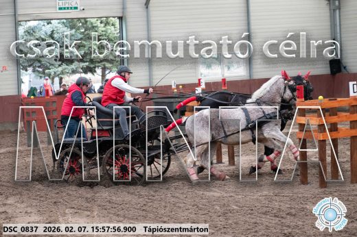 Mintakép 20260207-1174