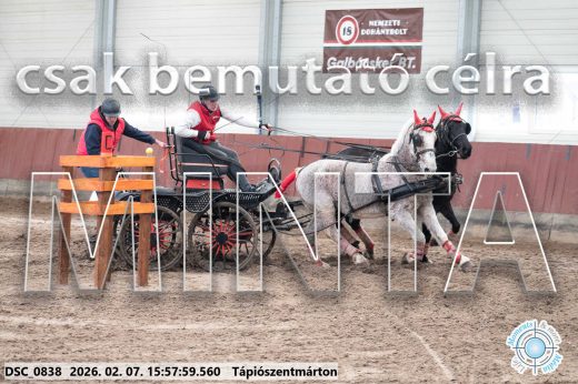 Mintakép 20260207-1175