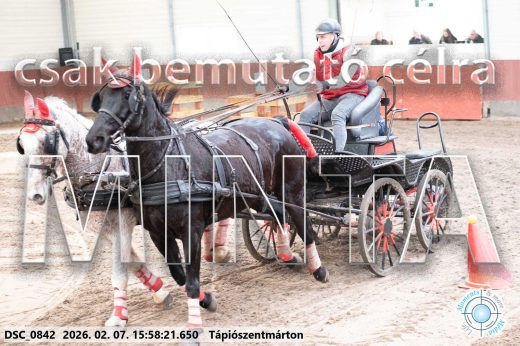 Mintakép 20260207-1178