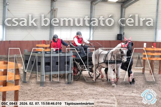 Mintakép 20260207-1179