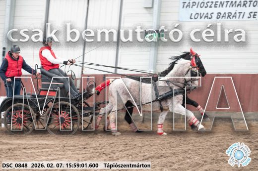 Mintakép 20260207-1182