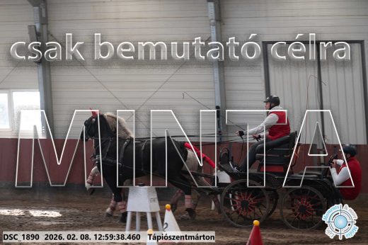 Mintakép 20260208-2017
