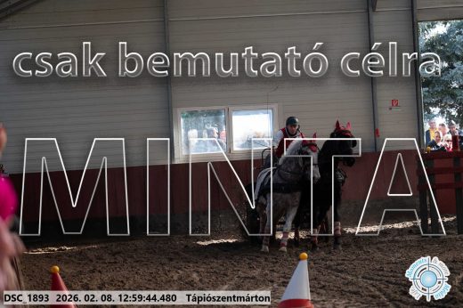 Mintakép 20260208-2020