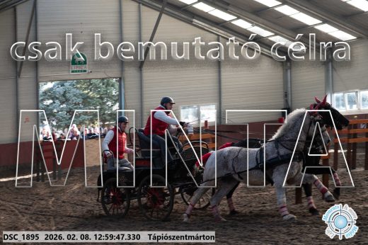Mintakép 20260208-2021