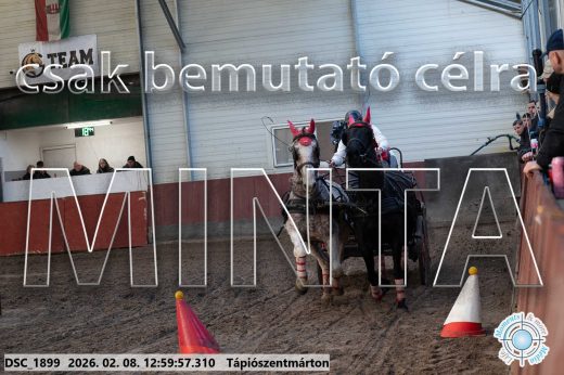 Mintakép 20260208-2024
