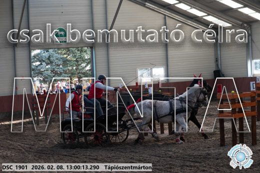 Mintakép 20260208-2026