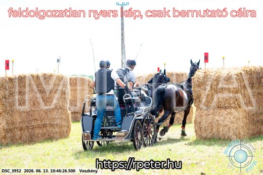 Mintakép 20260613-676