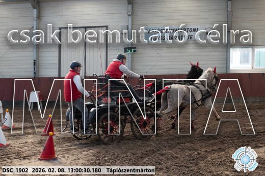 Mintakép 20260208-2027