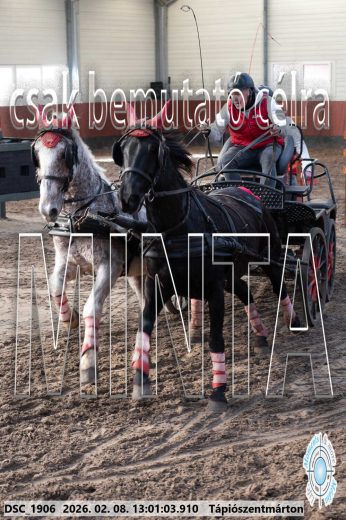 Mintakép 20260208-2030