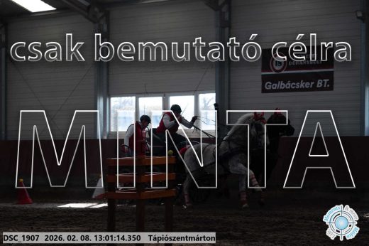 Mintakép 20260208-2031