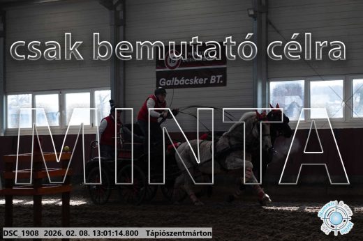 Mintakép 20260208-2032