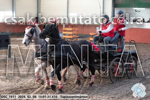 Mintakép 20260208-2034
