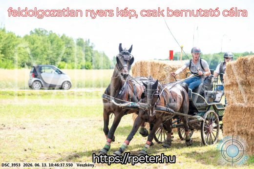 Mintakép 20260613-677