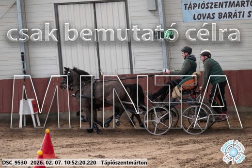 Mintakép 20260207-1186
