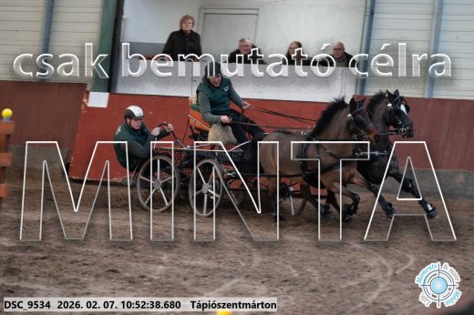 Mintakép 20260207-1189