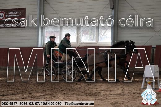 Mintakép 20260207-1198