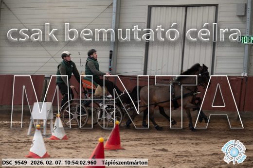 Mintakép 20260207-1199