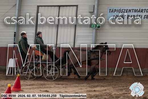 Mintakép 20260207-1200