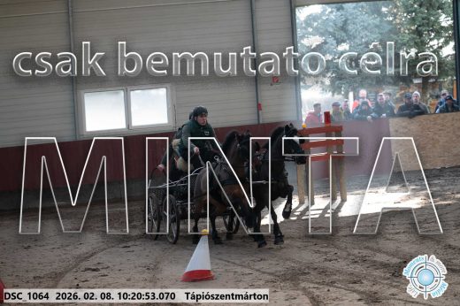 Mintakép 20260208-2038