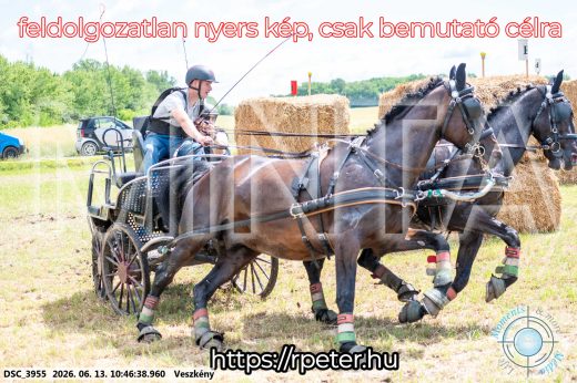 Mintakép 20260613-679
