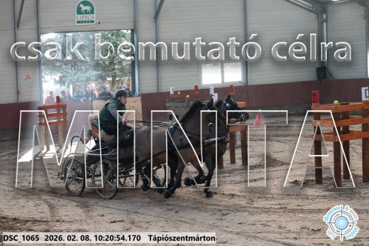Mintakép 20260208-2039