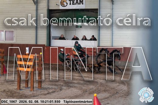 Mintakép 20260208-2041