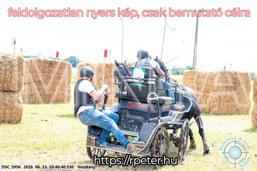 Mintakép 20260613-680