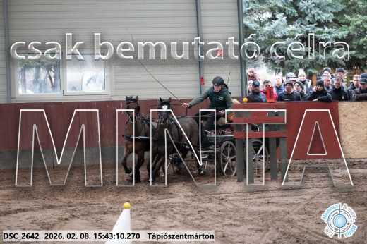 Mintakép 20260208-2057
