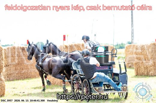 Mintakép 20260613-681