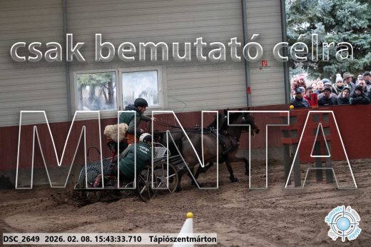 Mintakép 20260208-2064