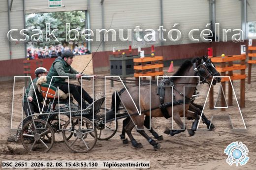 Mintakép 20260208-2066