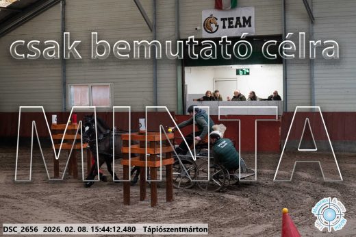 Mintakép 20260208-2071