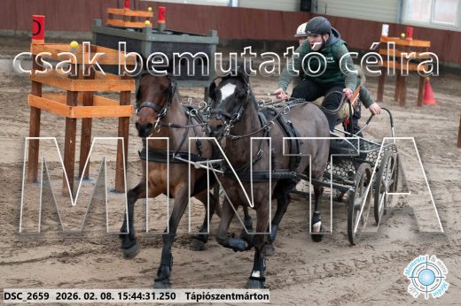 Mintakép 20260208-2074