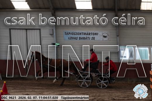 Mintakép 20260207-1204