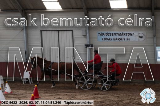 Mintakép 20260207-1205