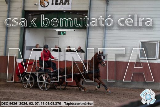 Mintakép 20260207-1209