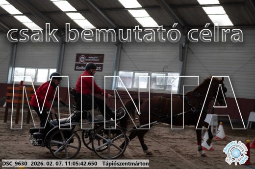 Mintakép 20260207-1212